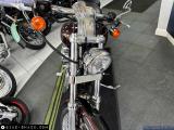 Harley-Davidson XL1200 Sportster 2005 motorcycle #3