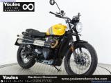 Triumph Scrambler 900 for sale