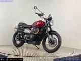 Triumph Scrambler 900 for sale