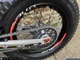 TRS One 250 2025 motorcycle #3