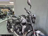 Triumph Trident 660 2022 motorcycle #2