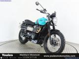 Triumph Scrambler 900 2025 motorcycle for sale