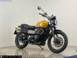 Triumph Scrambler 900 2024 motorcycle #1