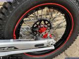 Beta Evo 300 2024 motorcycle #3