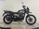 Triumph Street Scrambler 900 for sale