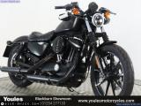 Harley-Davidson XL883 Sportster for sale