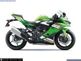 Kawasaki ZX-4RR Ninja 2026 motorcycle #2