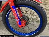 Beta Evo 300 2024 motorcycle #4