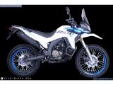 Voge Rally 300 2025 motorcycle #2