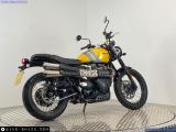 Triumph Scrambler 900 2024 motorcycle #3