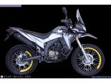 Voge Rally 300 2024 motorcycle for sale